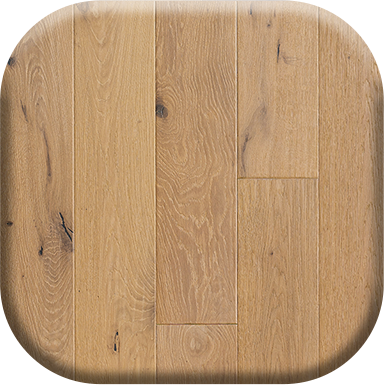 image of the collection